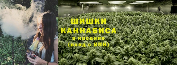 амф Алзамай