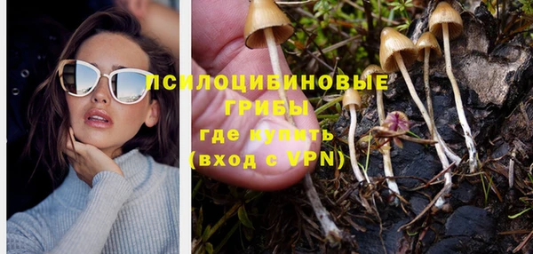 амф Алзамай